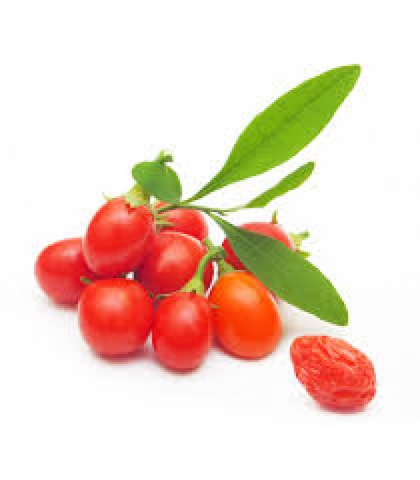 Gojiberry Tohumu 10 Tohum Goji Berry + Süpriz Tohum ürün görseli 1