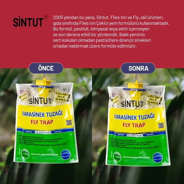 Sintut Medium, Karasinek Tuzağı - Resim 3