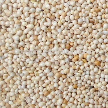 Bölünmüş Sade Ak Darı ürün görseli 1
