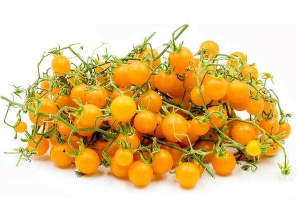 Cherry Sarı Domates Tohumu 5 Tohum + Süpriz Hediye Tohum ürün görseli 1