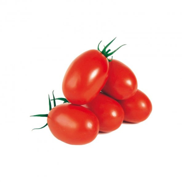 Saksılık Zeytin Domates Tohumu Ekim Seti 10 Tohum +Saksı+Toprak ürün görseli 1