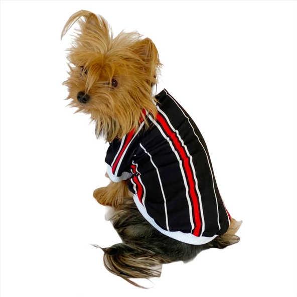 Black Red White Striped Oval Yaka Tişört Köpek Kıyafeti Köpek Elbisesi ürün görseli 1