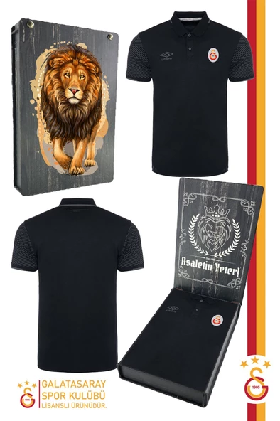Galatasaray Orijinal Lisanslı Polo Yaka Siyah Spor T-Shirt Ahşap Kutulu ürün görseli 1