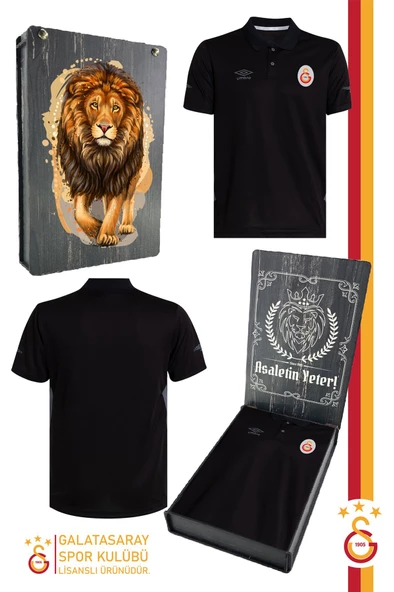 Galatasaray Orijinal Lisanslı Polo Yaka Siyah T-Shirt Ahşap Kutulu ürün görseli 1