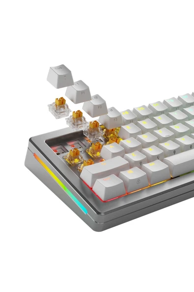 Glorious Panda Hall Effect Mekanik Klavye Switch 36 Adet - Resim 5