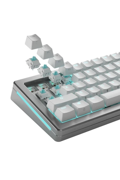 Glorious Lynx Standart Yağlı Klavye Switch 36 Adet - Resim 5