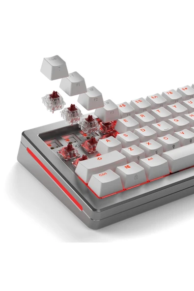 Glorious Fox Heavy Mekanik Yağlı Klavye Switch 110 Adet - Resim 5
