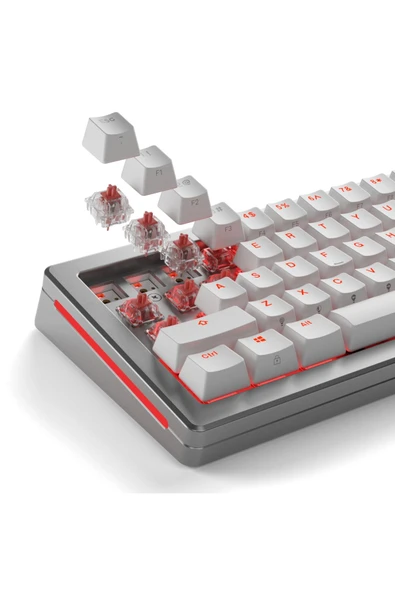 Glorious Fox Ultralight Yağlı Klavye Switch 110 Adet - Resim 5