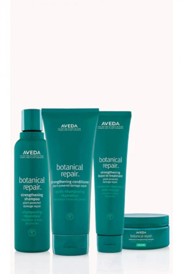 Aveda Orta Ve Kalın Telli Saçlar İçin Botanical Repair Onarım Seti ürün görseli 1