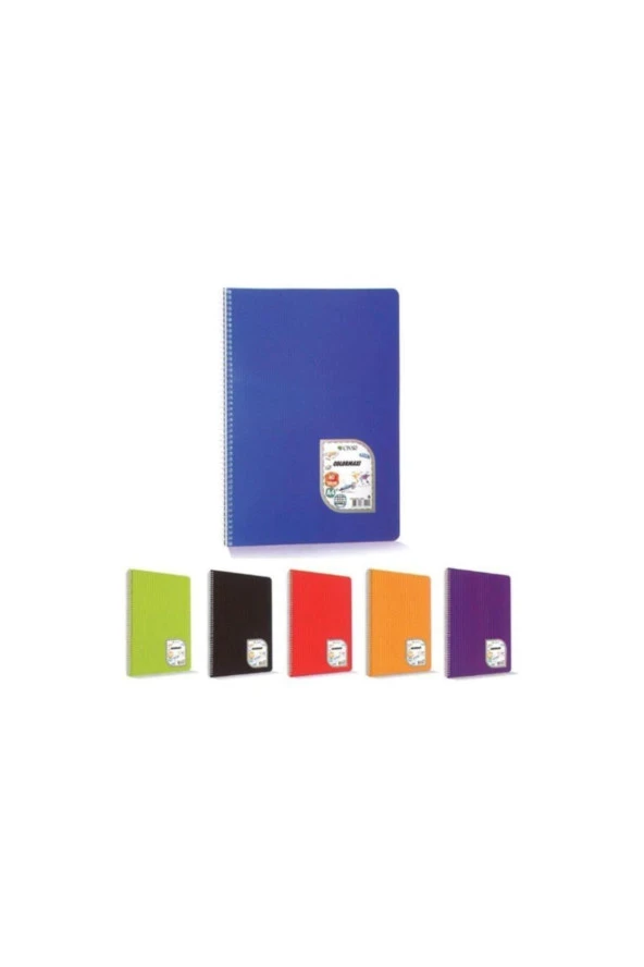 Çınar Colormaxi A4 Spiralli Plastik Kapak Defter 40 Yaprak Kareli (12 Li Paket) ürün görseli 1