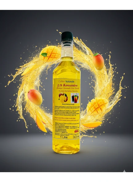 Mango Aromalı İce Slush 1e5 konsatre Şurup  12 lt 1 koli ürün görseli 1
