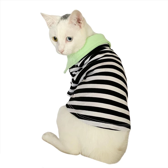 Grass Hopper Stripe Polo Yaka Tişört Kedi Kıyafeti  Kedi Elbisesi ürün görseli 1