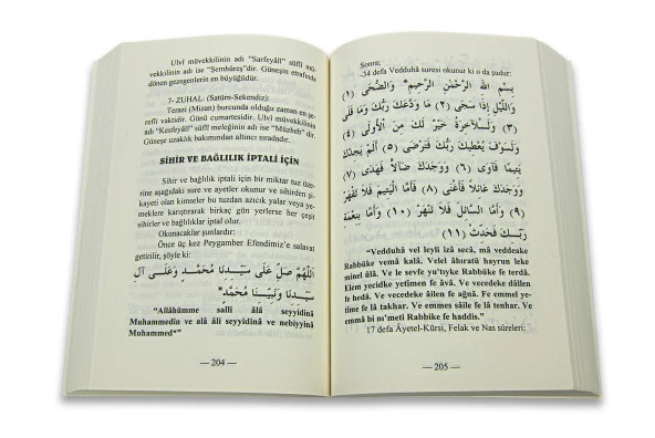 Şifa İncileri - Mustafa Yiğit - Resim 3