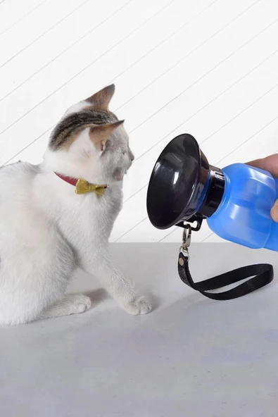 fullreyon Mavi Renk, Valfli, Bileklikli Kedi, Köpek Seyahat Suluğu, Çok Kaliteli Evcil Hayvan Seyahat Suluğu ürün görseli 1