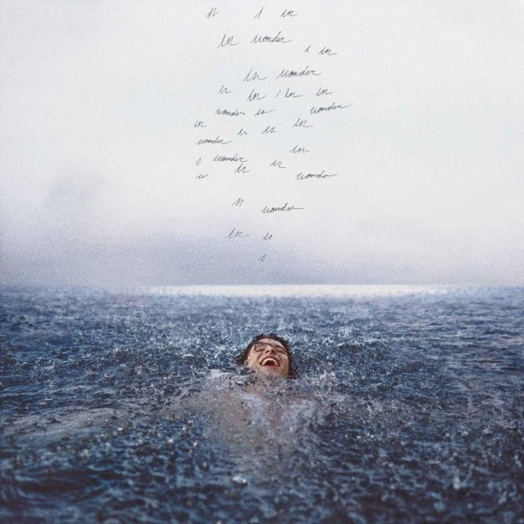 SHAWN MENDES - WONDER (CD) (2020) ürün görseli 1