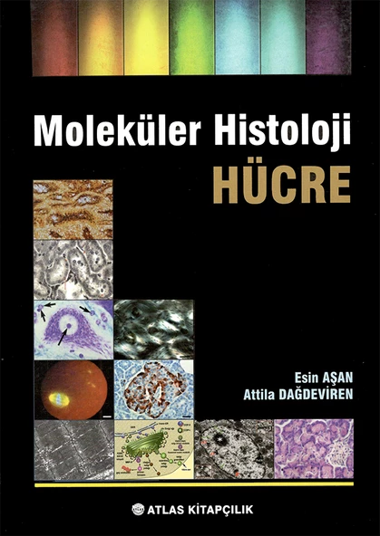 Moleküler Histoloji Hücre ürün görseli 1