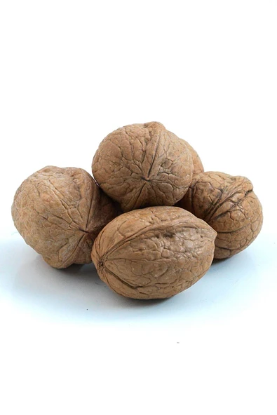 Ceviz Kabuklu Yerli 1 Kg - Resim 2