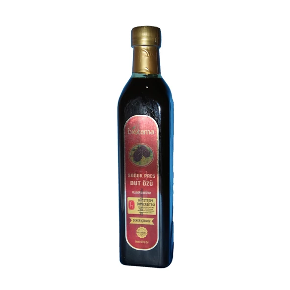 Biotama Karadut Özü 700 Gr ürün görseli 1