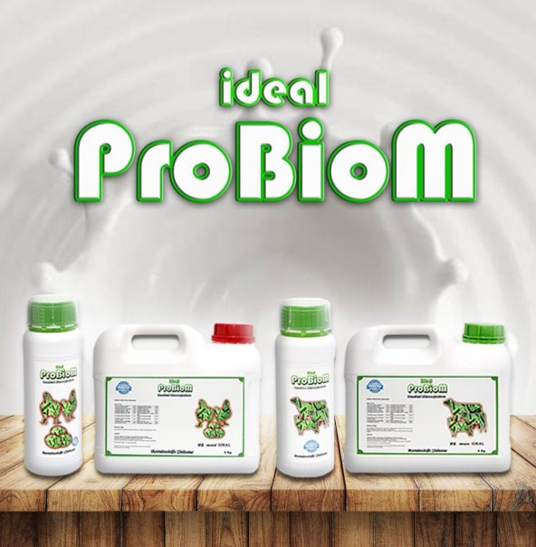 Probiom Liquid 1 Lt ürün görseli 1