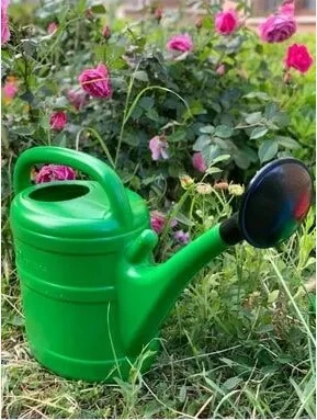 Bahçe Çiçek Sulama İbriği Süzgeçli 10 Litre - Resim 2
