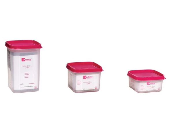 Moon star Modüler Hava Sızdırmaz 3,Lü Saklama Kabı-1,25+0,65+0,40 Litre-MS-09+MS-02+MS-01 ürün görseli 1
