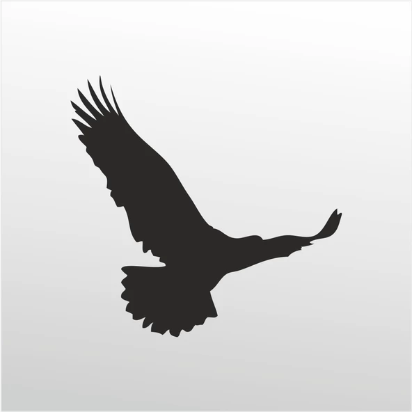 Folyo Sticker Kartal ürün görseli 1
