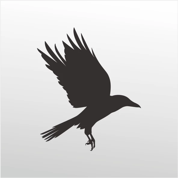 Folyo Sticker Karga ürün görseli 1