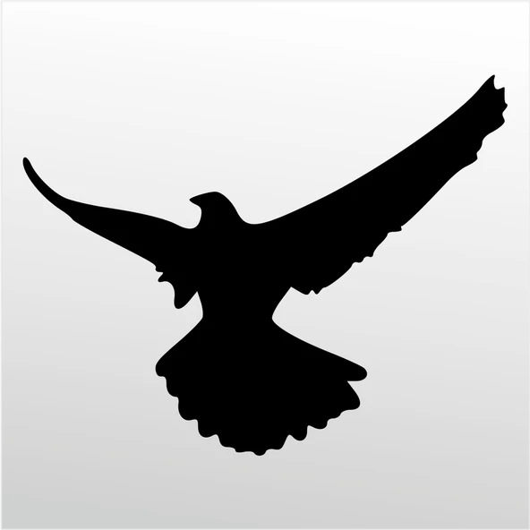 Folyo Sticker Güvercin ürün görseli 1