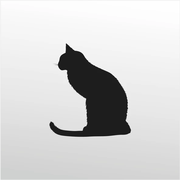 Folyo Sticker Kedi ürün görseli 1