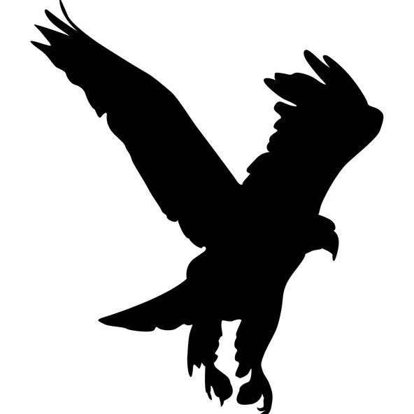 Folyo Sticker Kartal ADKPQUY621 ürün görseli 1