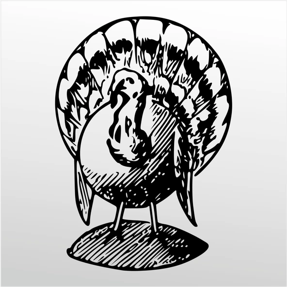 Folyo Sticker Hindi ürün görseli 1