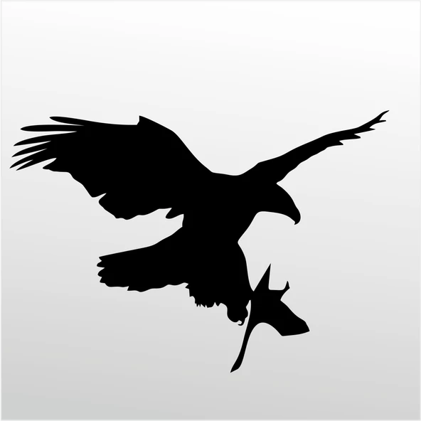 Folyo Sticker Kartal ADKPQUY625 ürün görseli 1