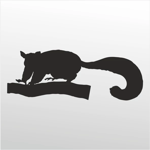 Folyo Sticker Kokarca ürün görseli 1