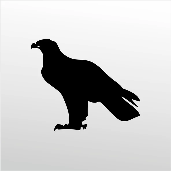 Folyo Sticker Kartal ADKPQUY630 ürün görseli 1