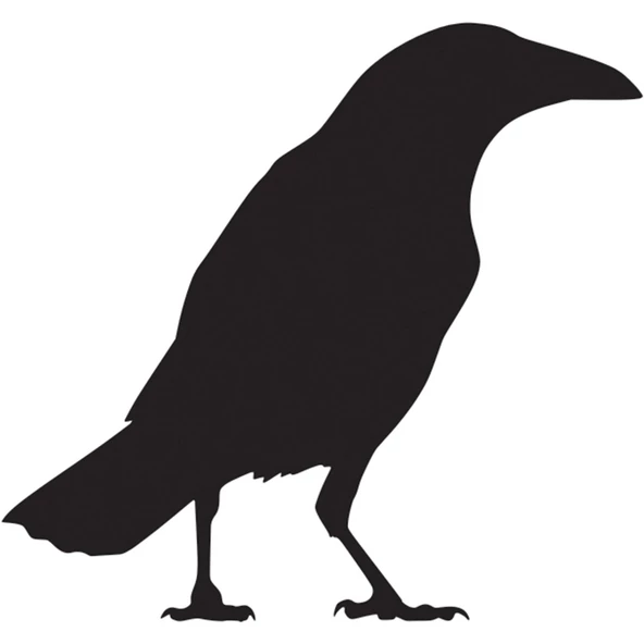 Folyo Sticker Karga ürün görseli 1