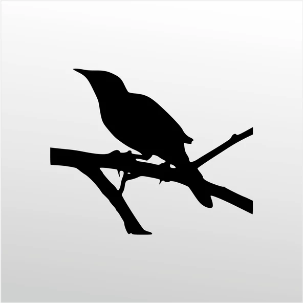 Folyo Sticker Karga ürün görseli 1