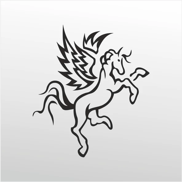 Folyo Sticker Kanat ürün görseli 1