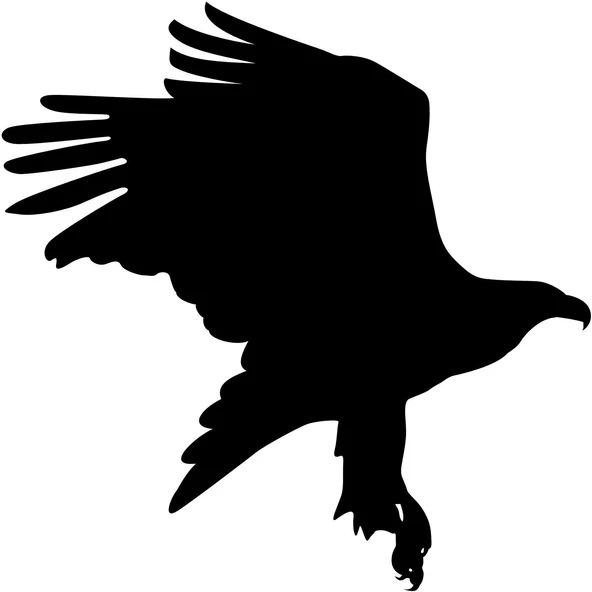 Folyo Sticker Kartal ADKPQUY624 ürün görseli 1