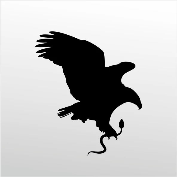 Folyo Sticker Kartal ADKPQUY619 ürün görseli 1
