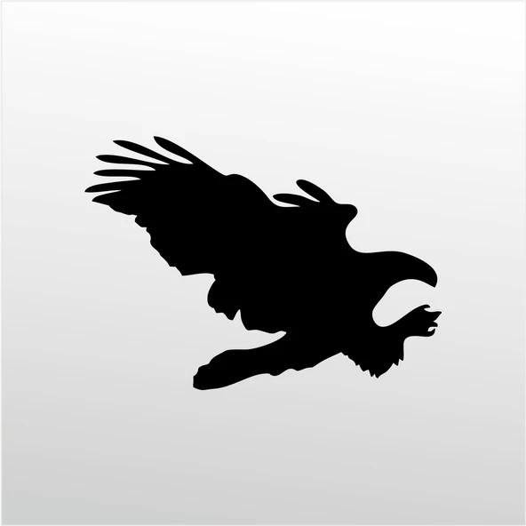 Folyo Sticker Kartal ADKPQUY628 ürün görseli 1