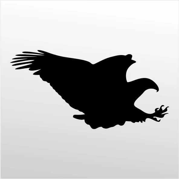 Folyo Sticker Kartal ADKPQUY627 ürün görseli 1