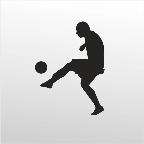 Folyo Sticker Futbol ADKPQUY500 ürün görseli 1