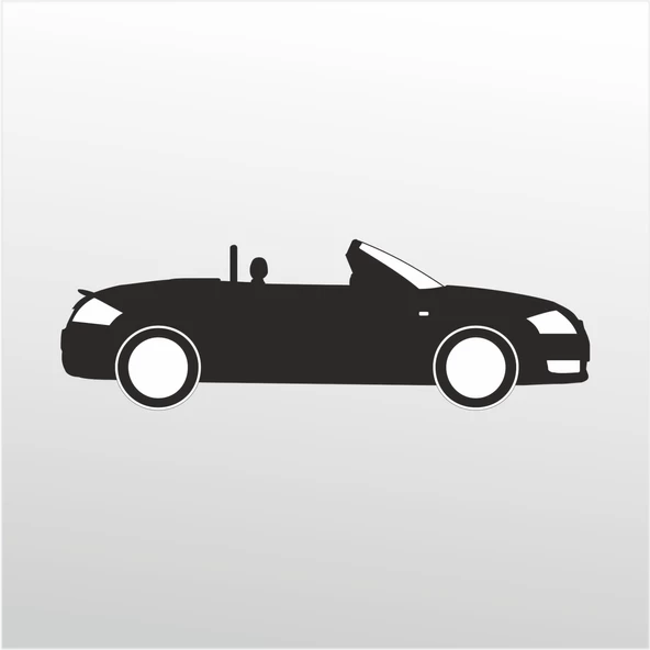 Folyo Sticker Audi ürün görseli 1