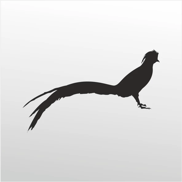 Folyo Sticker Anka Kuşu ürün görseli 1