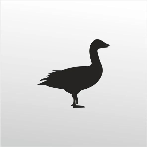 Folyo Sticker Ördek ürün görseli 1