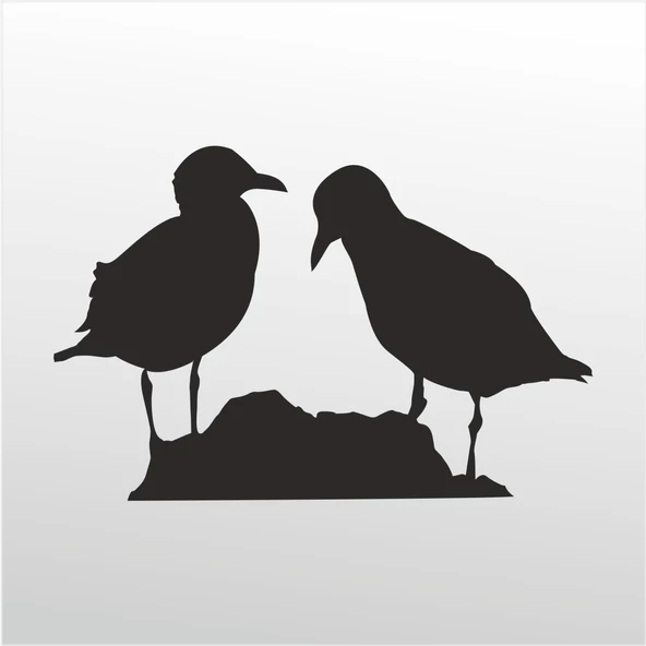 Folyo Sticker Kuşlar ürün görseli 1