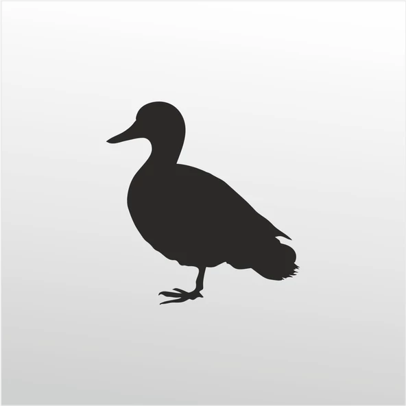 Folyo Sticker Ördek ürün görseli 1
