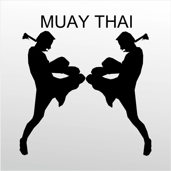 Folyo Sticker Muay Thai ürün görseli 1