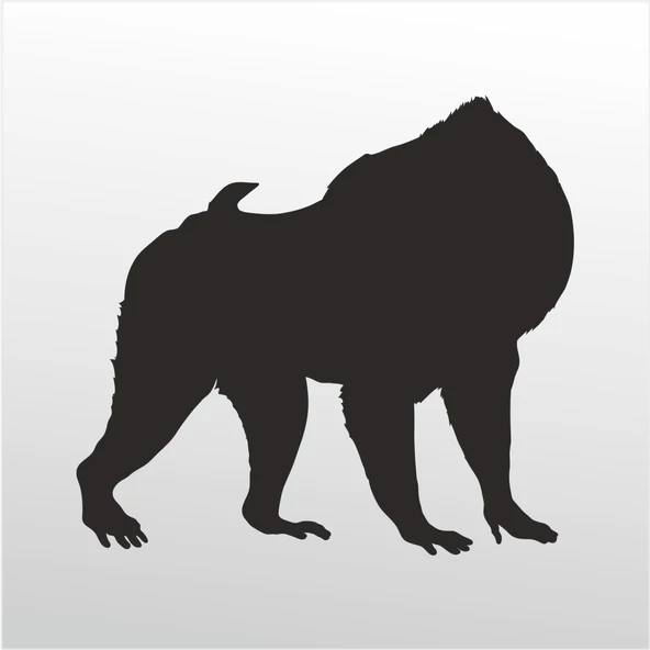 Folyo Sticker Orangutan ürün görseli 1