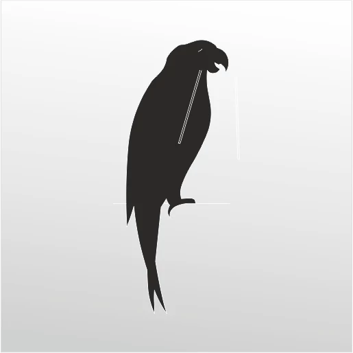 Folyo Sticker Papağan ürün görseli 1
